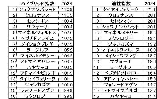 2024　アルゼンチン共和国杯　HB指数